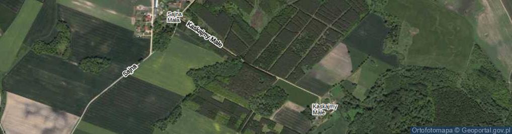 Zdjęcie satelitarne Kaskajmy Małe ul.